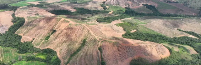 Meteoric Resources irá investir R$ 1 bilhão na extração de terras raras e produção de argila iônica em MG