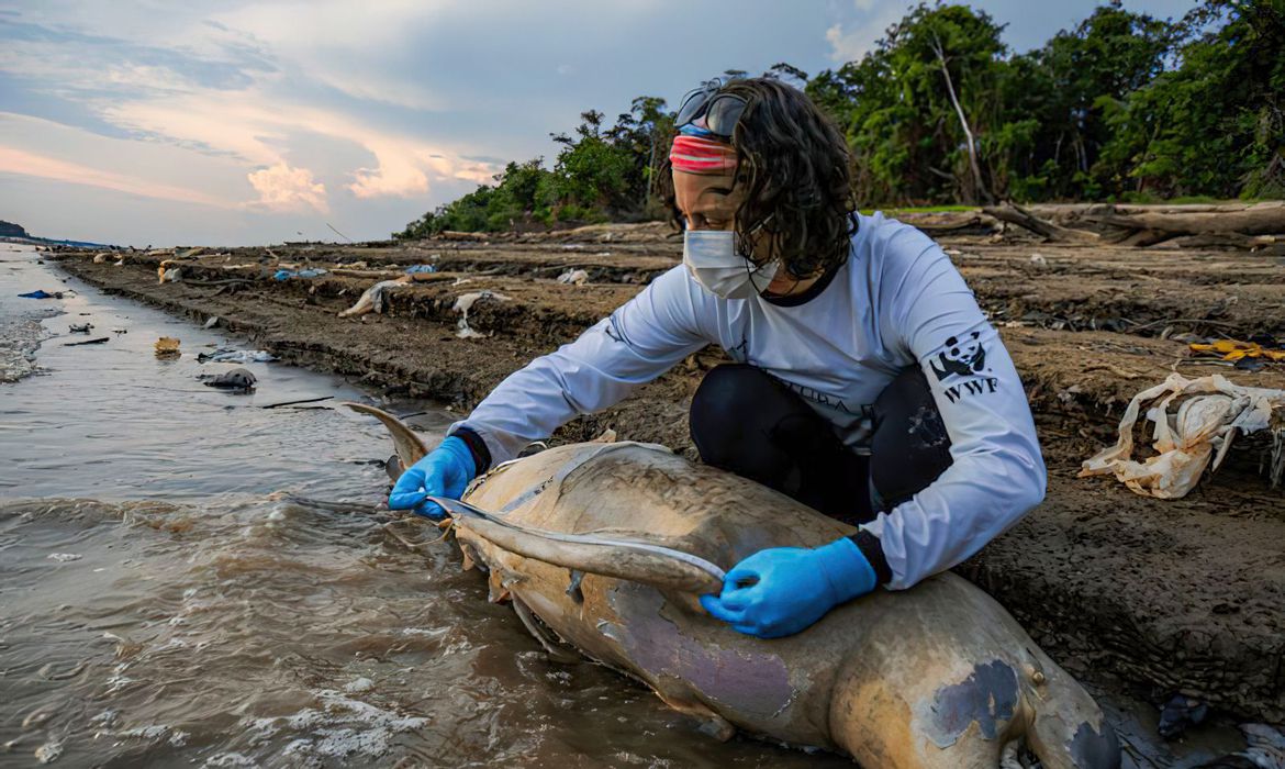 Seca no Amazonas se torna emergência em mais de 50 municípios