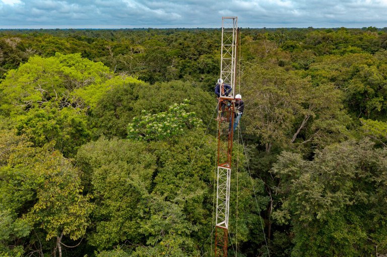 Primeira torre começa a monitorar gases de efeito estufa na Amazônia