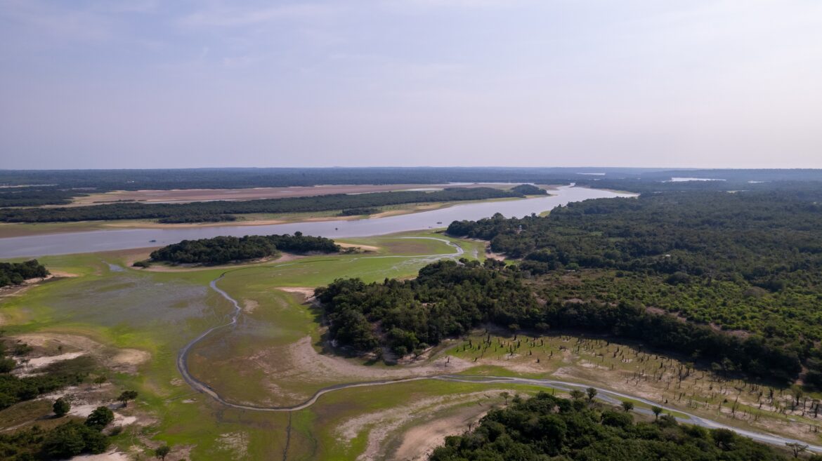 Restauração do Lago Batata, no Pará, pela MRN e UFRJ, é apontado como modelo e trabalho científico inédito