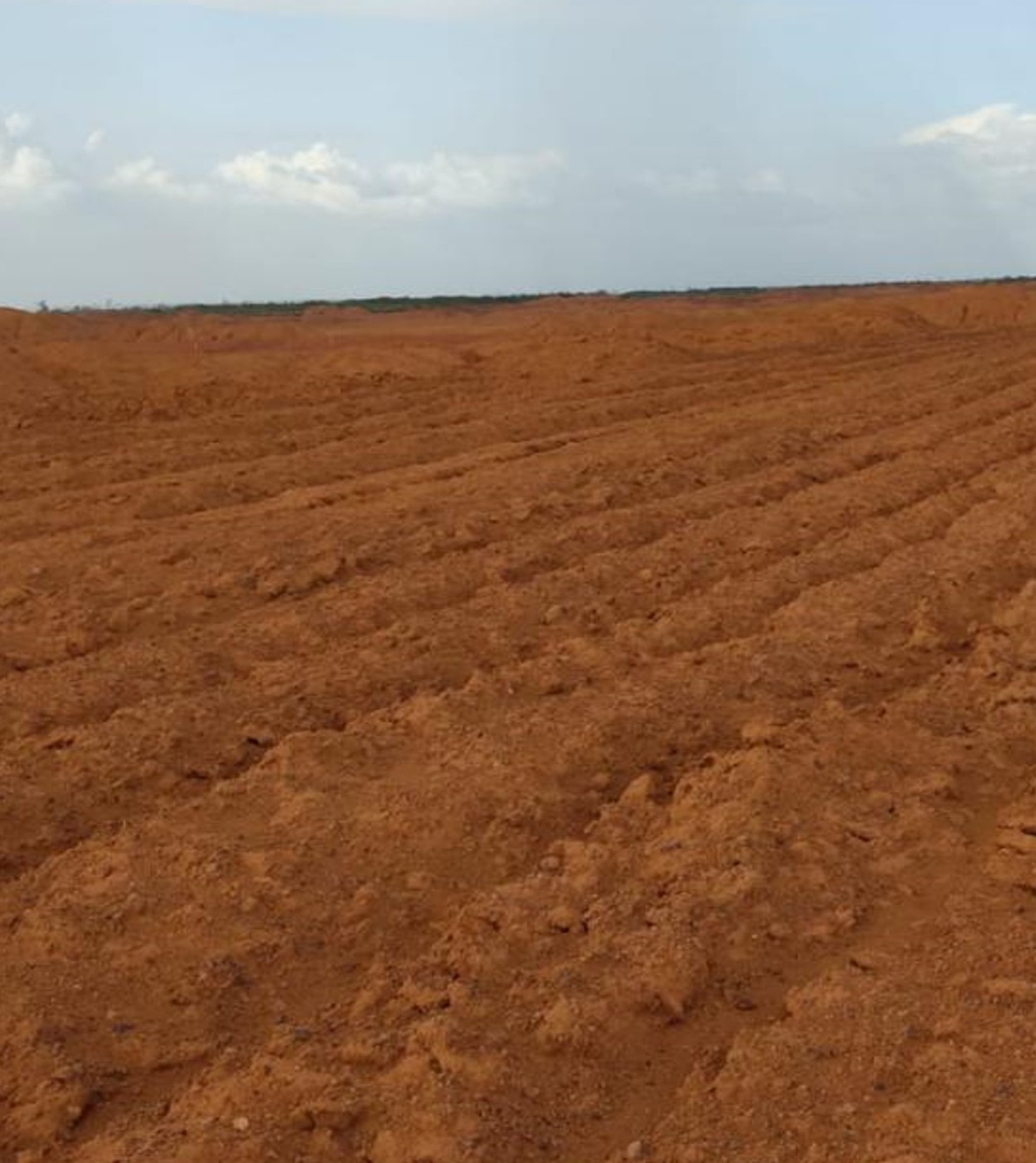 Mineradora cria adubo orgânico e melhora reflorestamento no PA