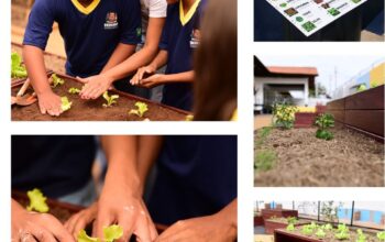 Alunos interagem em horta sensorial acessível do Instituto Mosaic na Escola Municipal Arthur de Mello Teixeira, em Uberaba (MG).