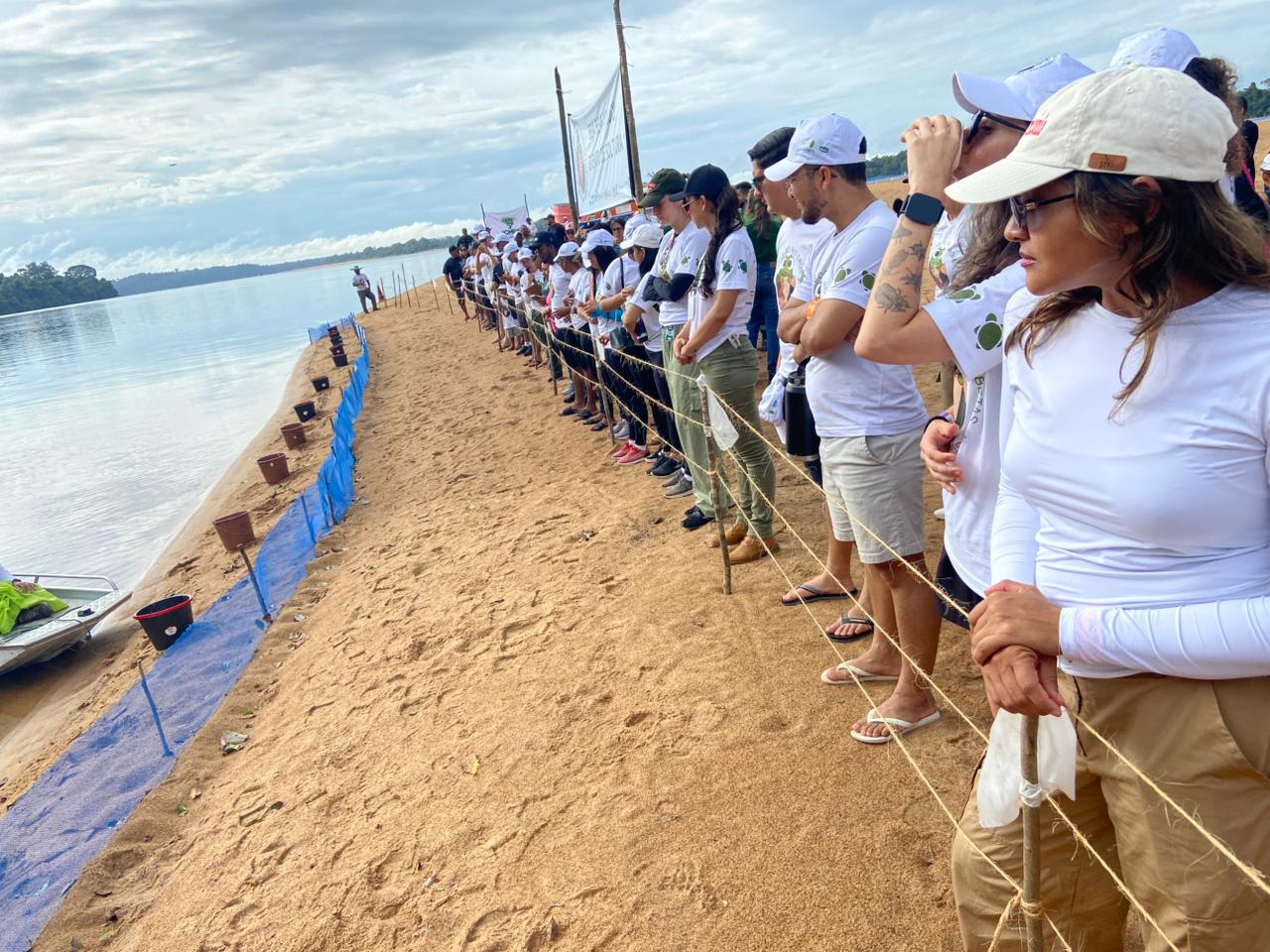 Programa Quelônios do Rio Trombetas, da MRN, devolve 8 mil filhotes de Tartaruga-da-amazônia à natureza