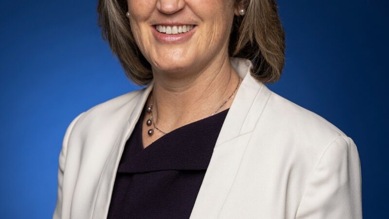 Brasil e Austrália: Alianças em minerais críticos e inovação superam concorrência em minério de ferro