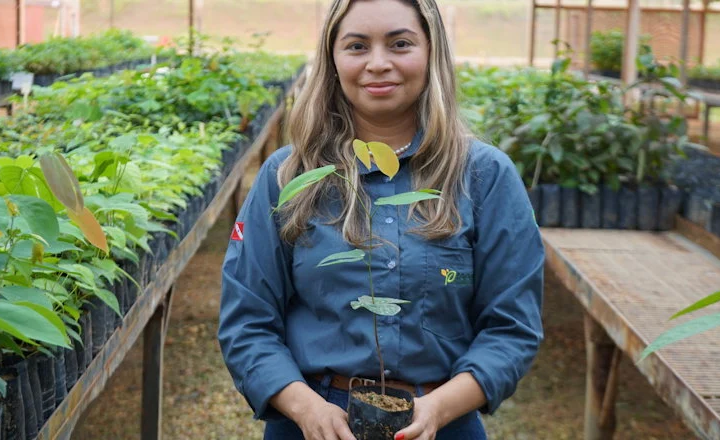 Hydro desenvolve fornecedores locais e fortalece produção de mudas nativas para recuperação florestal