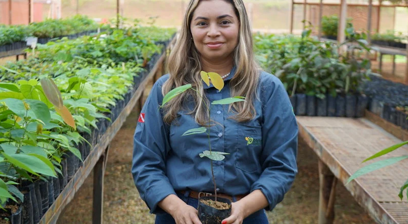 Hydro desenvolve fornecedores locais e fortalece produção de mudas nativas para recuperação florestal
