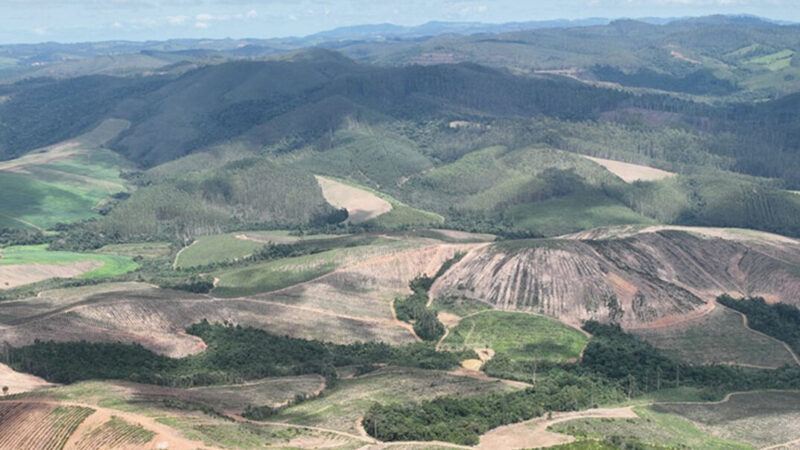 Meteoric estuda refino de terras-raras no Brasil e mira início da produção em 2028 em Minas