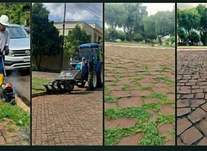 Capina elétrica eleva produtividade com alta performance e sustentabilidade