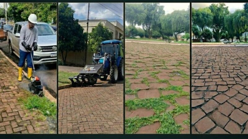 Capina elétrica eleva produtividade com alta performance e sustentabilidade