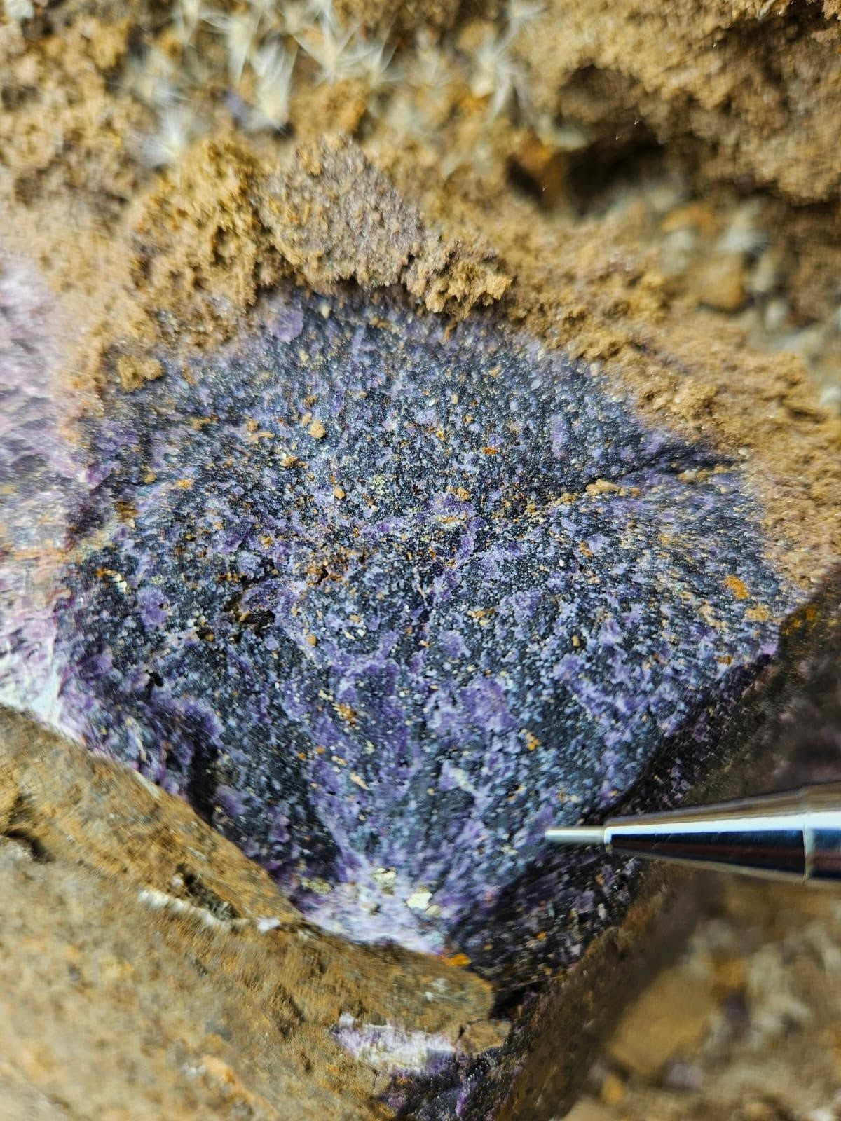 SGB identifica alto potencial de terras raras no Cinturão Ribeira (SP e PR)