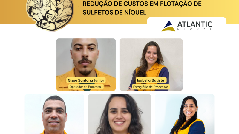 Atlantic Nickel pesquisa coletor alternativa para reduzir custos na flotação de sulfetos de níquel