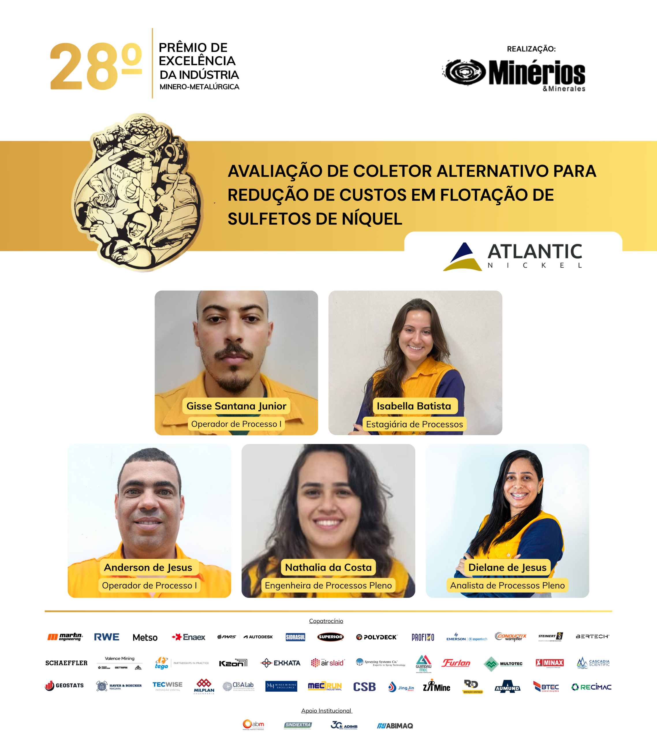 Atlantic Nickel pesquisa coletor alternativa para reduzir custos na flotação de sulfetos de níquel