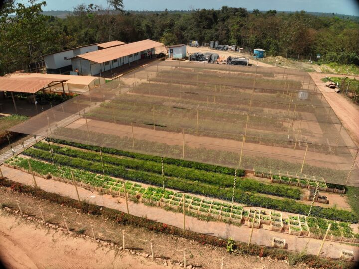 Programa de recuperação de áreas mineradas capacita fornecedores de mudas na Amazônia