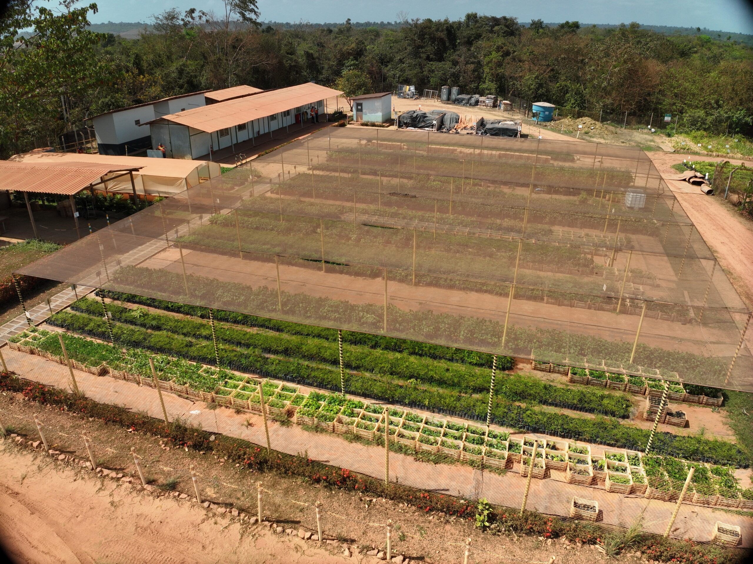 Programa de recuperação de áreas mineradas capacita fornecedores de mudas na Amazônia