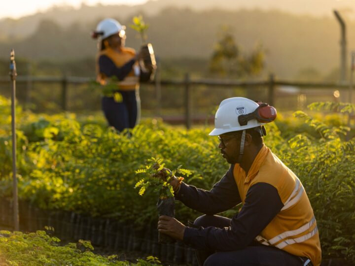 Appian e Atlantic Nickel investem mais de R$ 28,7 milhões em ações socioambientais e revegetam o equivalente a 543 campos de futebol da Mata Atlântica