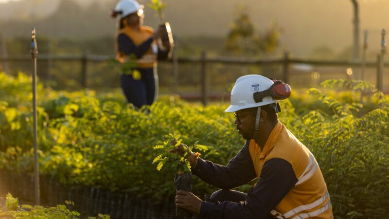 Appian e Atlantic Nickel investem mais de R$ 28,7 milhões em ações socioambientais e revegetam o equivalente a 543 campos de futebol da Mata Atlântica
