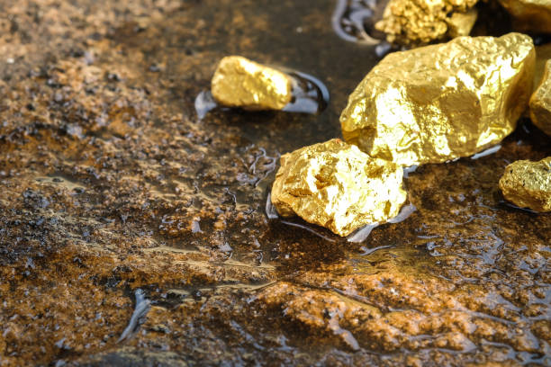 MME prorroga consulta pública sobre o Plano de Ação Nacional para a Mineração Artesanal e em Pequena Escala de Ouro