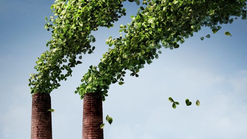 O desafio de incorporar o carbono nas decisões de novos projetos