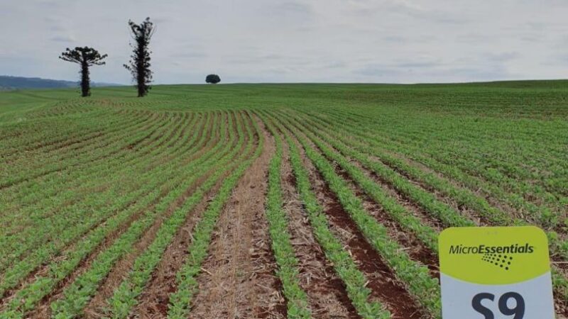 Consumo de fertilizantes pode cair ao menor nível desde 2022