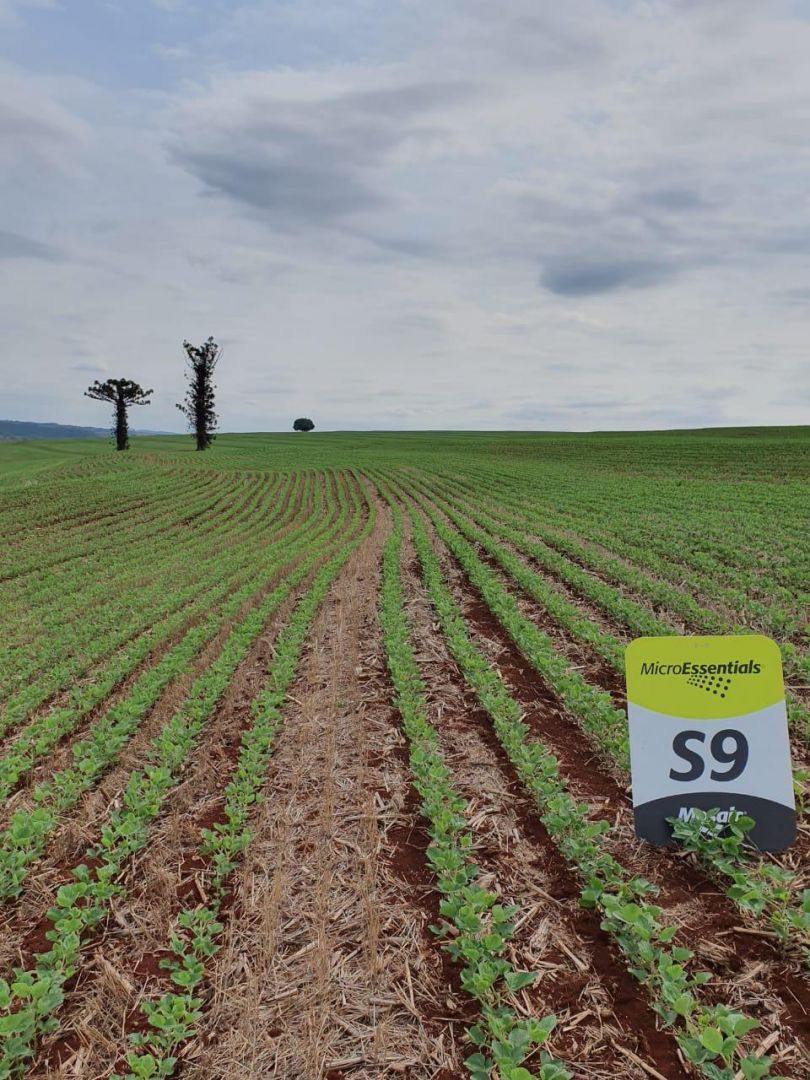 Consumo de fertilizantes pode cair ao menor nível desde 2022