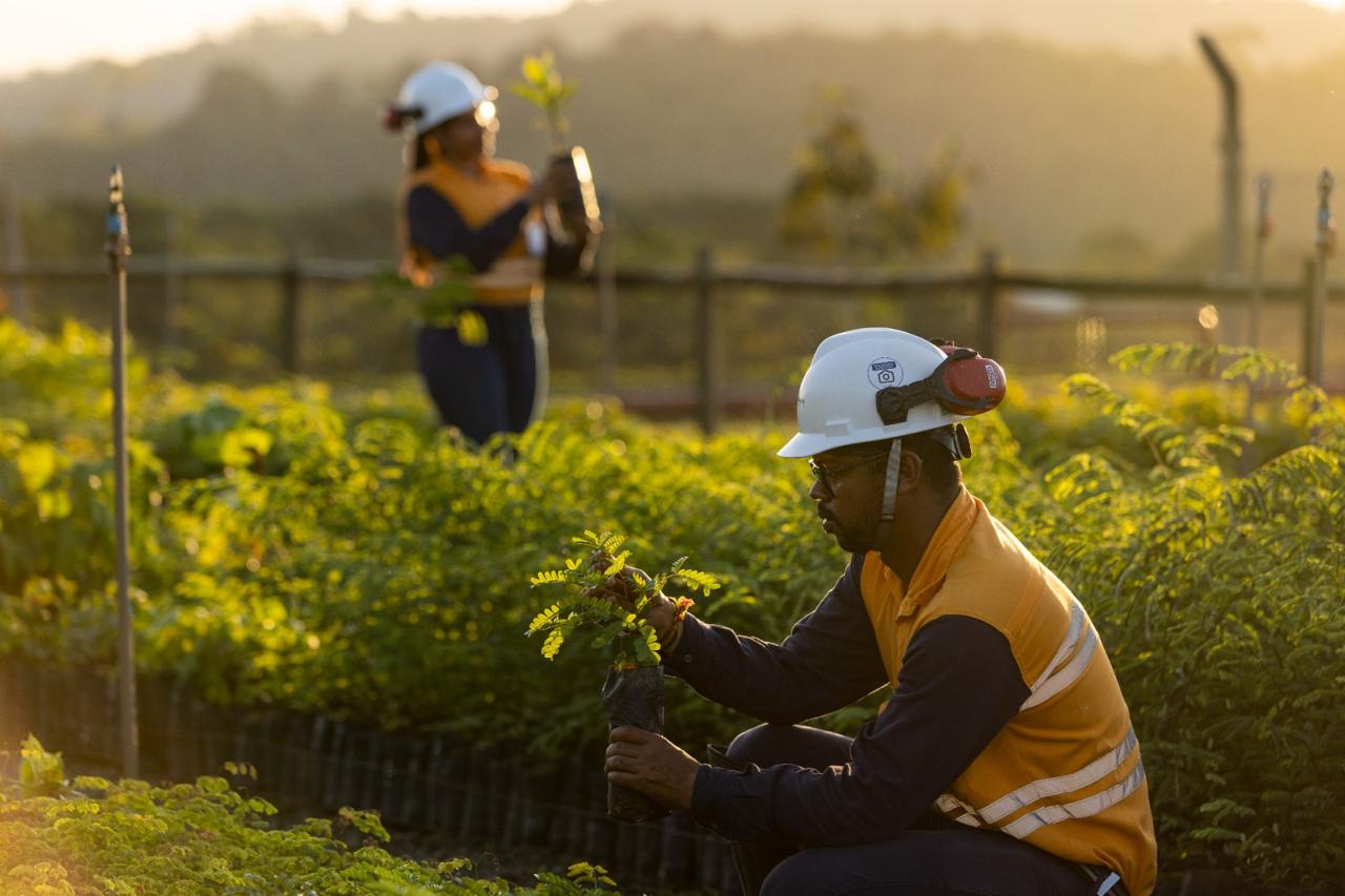 Appian e Atlantic Nickel investemR$ 28,7 mi em ações socioambientais
